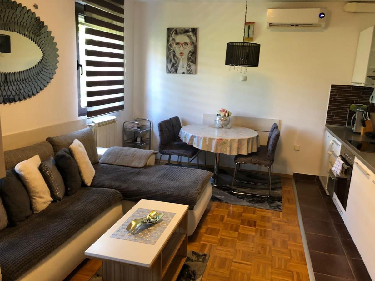זאגרב Apartment Sweet Dreams-Close To Zoo,Dinamo Stadium And The City Center מראה חיצוני תמונה